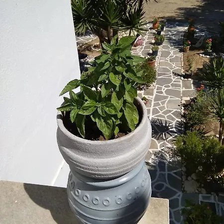 Kikis Refurbished A Veranda Dream * Chrisi Akti (Paros)